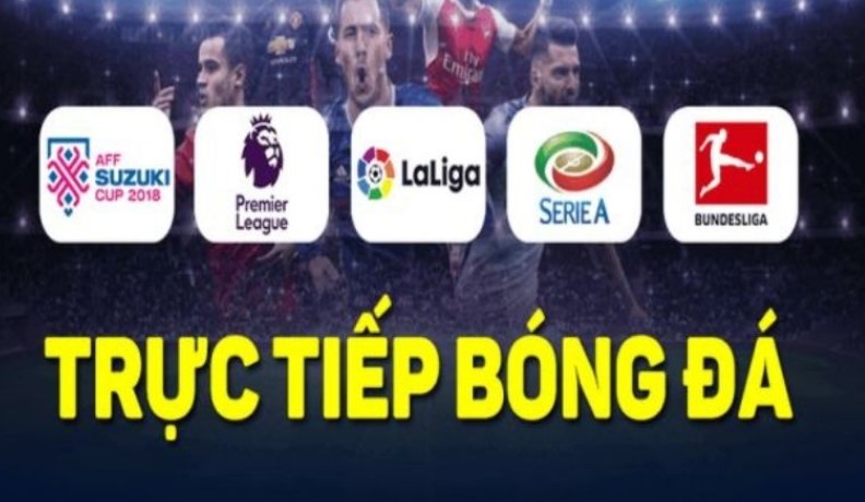 Link xem trực tiếp các giải đấu đỉnh cao trên Socolive TV